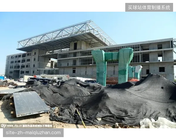 区域性转播服务投入巨大，却未建立针对观赛观众的数据资产池